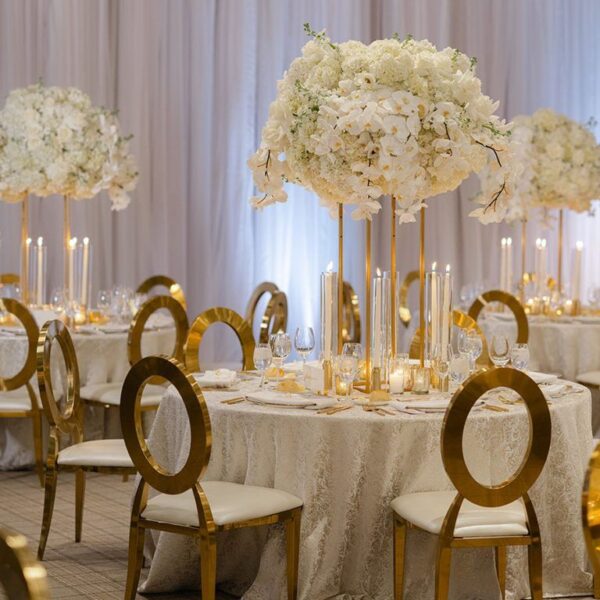 Oval Halo Infinity X chair