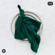 Velvet Napkin 5